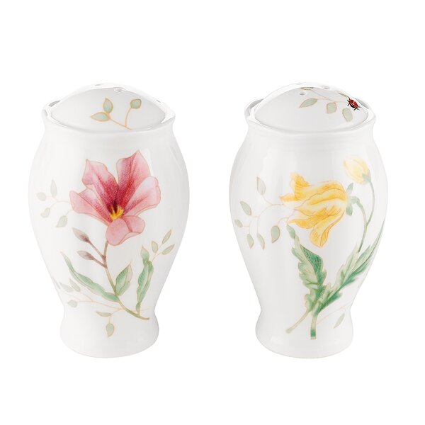 https://assets.wfcdn.com/im/43431853/resize-h600-w600%5Ecompr-r85/7892/78923665/Butterfly+Meadow+Salt+%26+Pepper+Shaker+Set.jpg