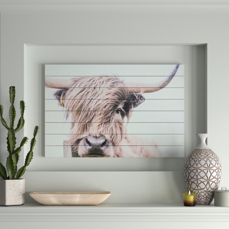 Highland Cow Photographic Print on Fir Wood Wall Art