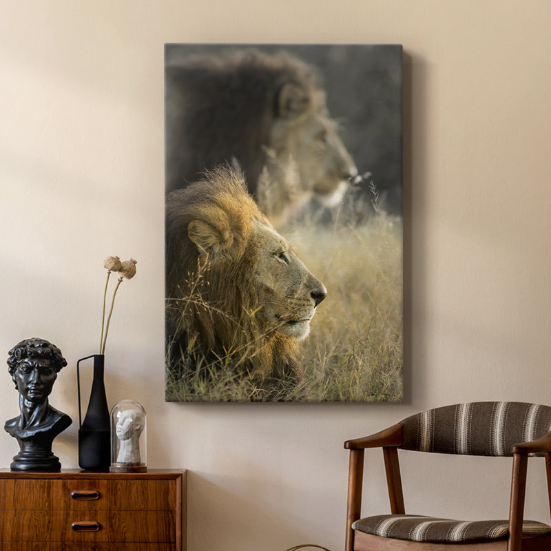 Lions au soleil du matin - galerie Cavas sur mesure, H 12 po x l 8 po