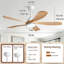 Ventilateur de plafond 52 po Modern Farmhouse-1507209542