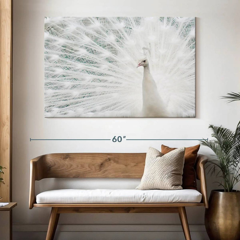 Plume de paon blanche neige, H 34 po x l 51 po