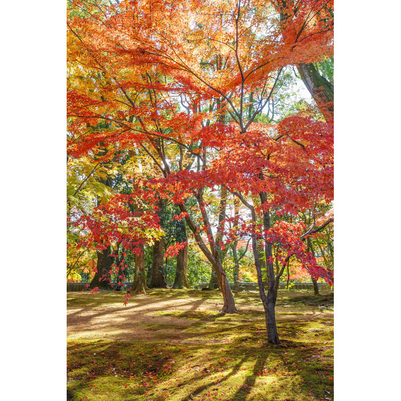 Hilda Maple Leaves by Coward_lion - Wrapped Canvas Print, 91cm H x 61cm W x 3.8cm D