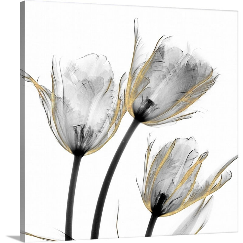 «Gold Embellished Tulips 2» par Albert Koetsier, reproduction d'art sur toile, H 16 po x l 16 po x P 1,25 po, Toile tendue