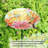 Camia Birdbath