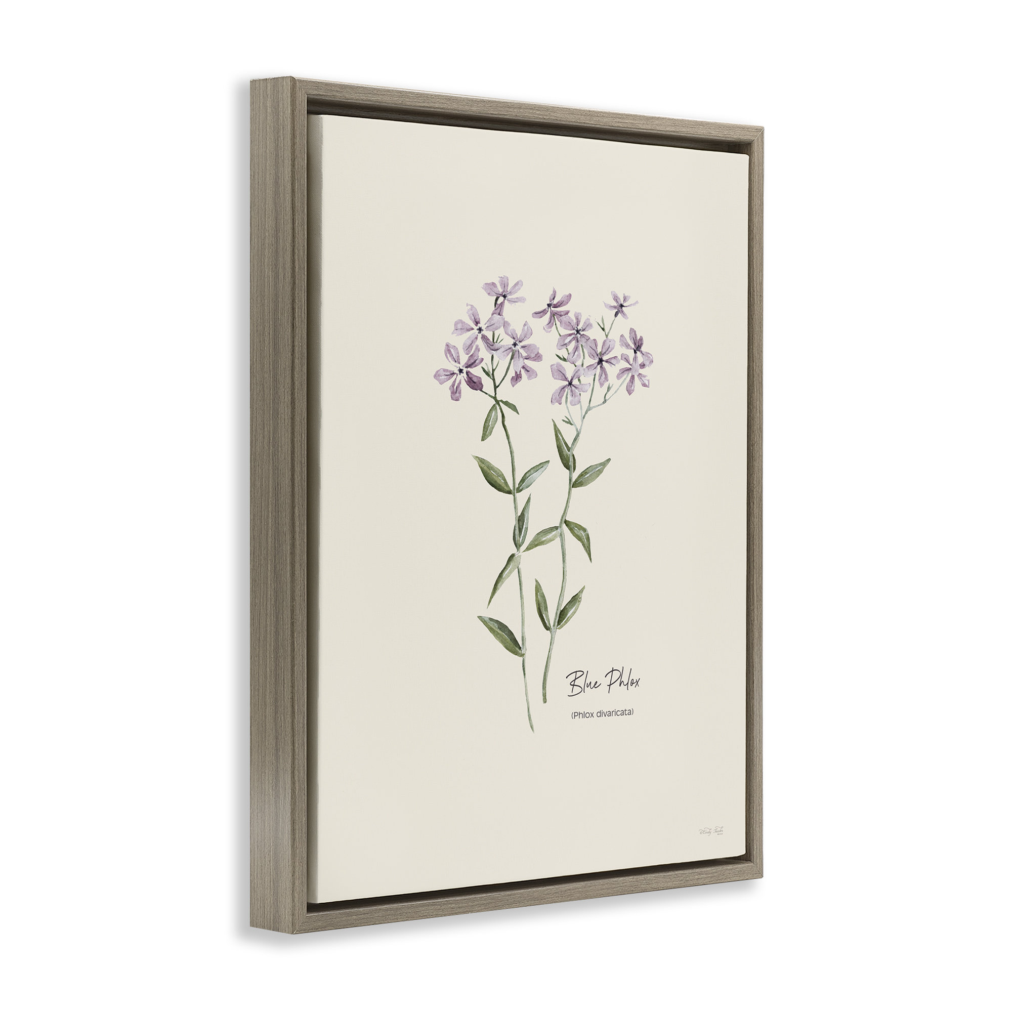 Winston Porter Country Herb Diagram Floater Canvas Wall Art by Cindy