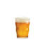 Craft Beer Glass