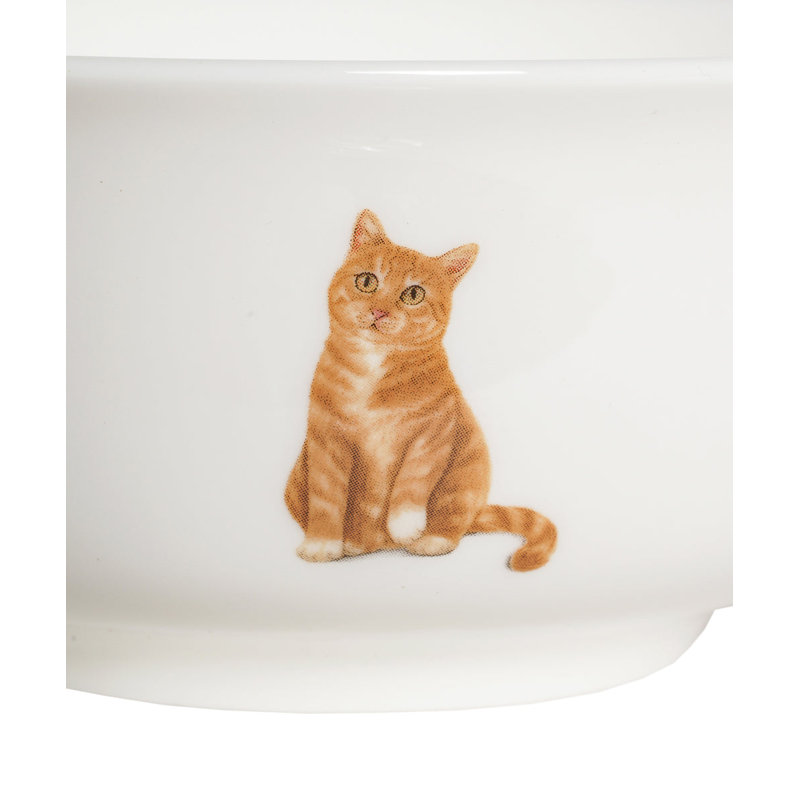Bol en porcelaine - Tabby orange
