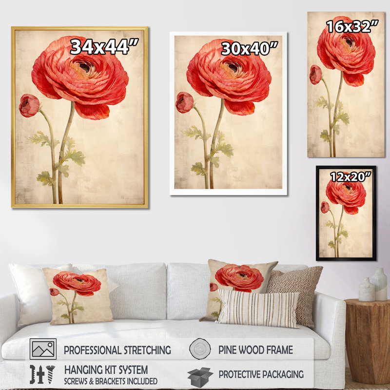 «Ranunculus Dreams III» rétro - impressions sur toile, Encadrement doré, H 32 po x l 24 po x P 1 po