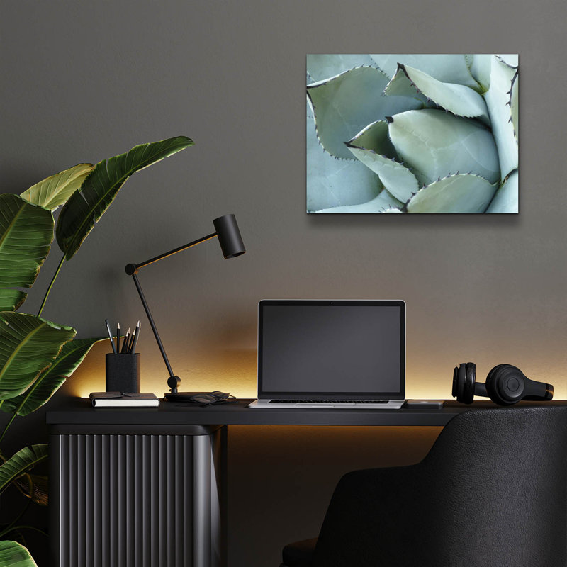 «Agave Détail 1» par Brittany Evans, art mural en verre acrylique, 16 po x 12 po