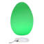 Novelty Lamp