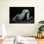Bodyscape VI-108115621