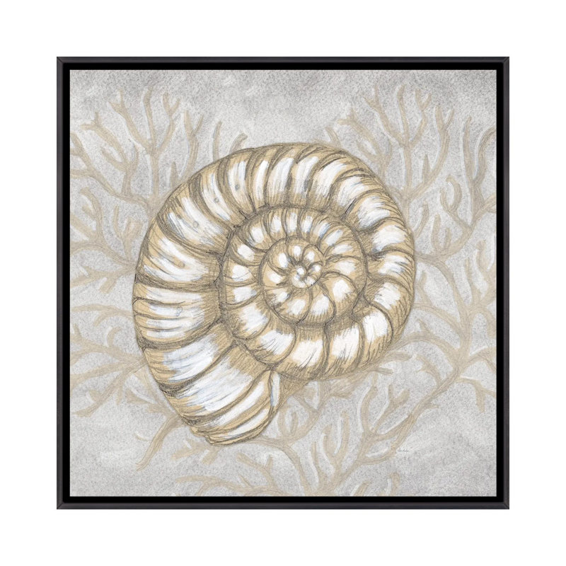 Dessin «Nautical Spiral Shell» - reproduction d'art murale - toile encadrée, 18" x 18", Framed Canvas, Distressed Black