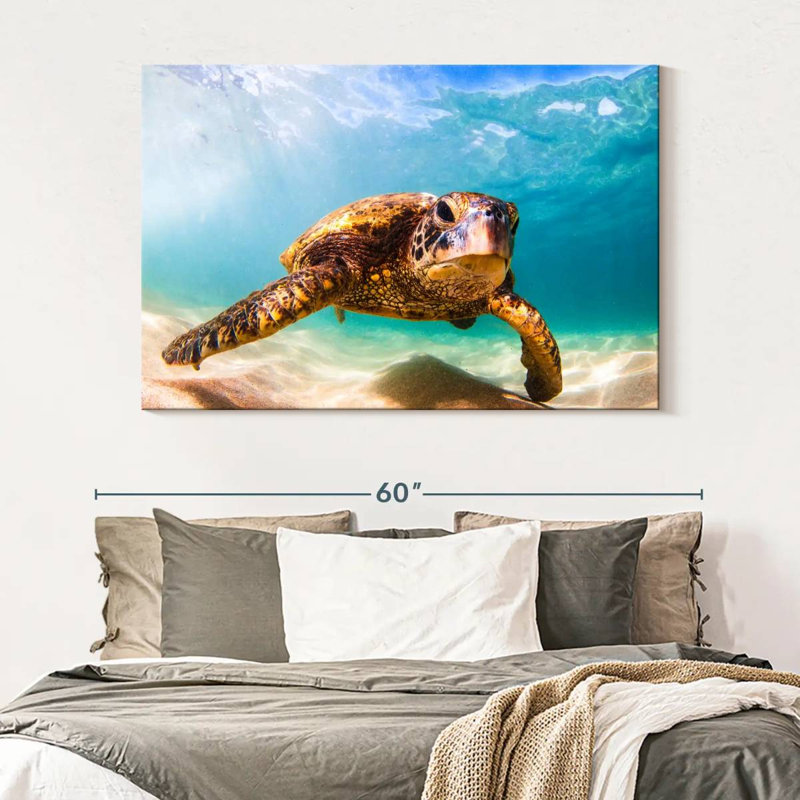 Tortue hawaïenne Crowle, H 34 po x l 51 po