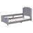Gray Velvet Upholstered Twin Daybed-875857238