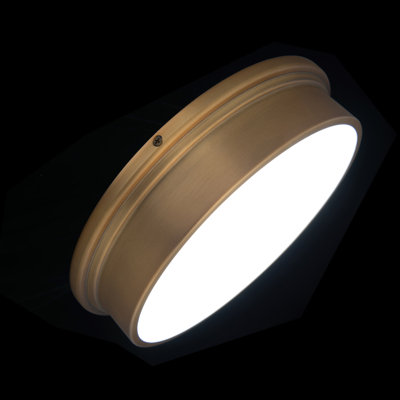 Campa 1 - Light LED Flush Mount