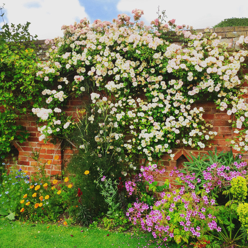 Garden by Kodachrome25 - No Frame Print on Canvas, 122cm H x 122cm W