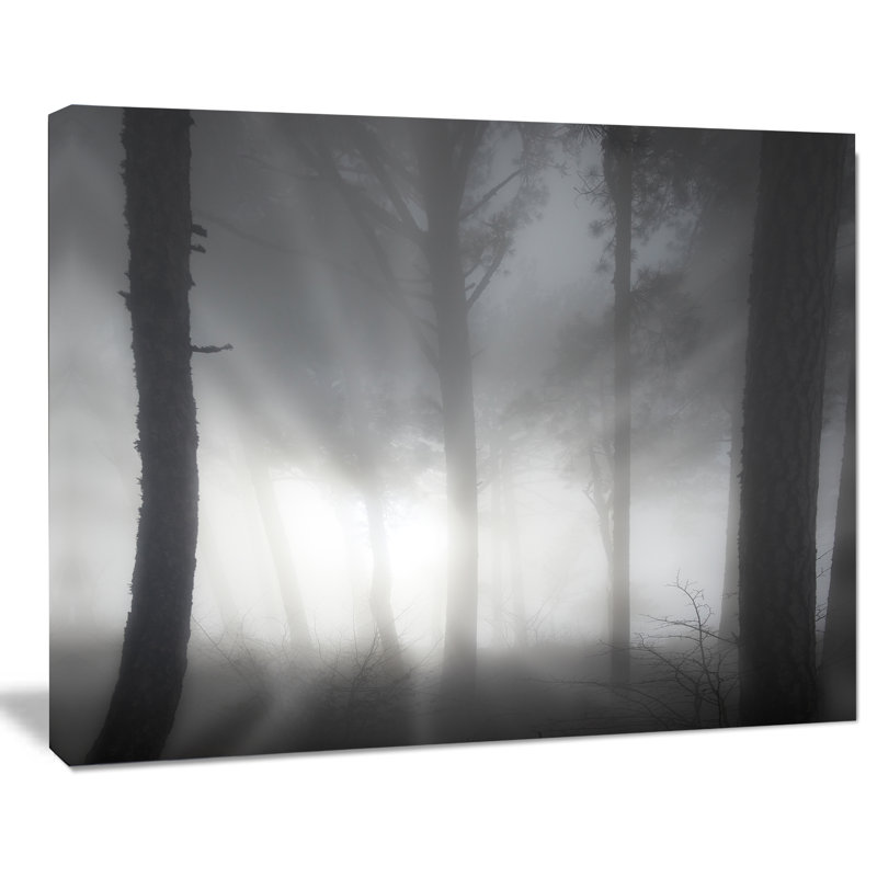 «Forest in Heavy Autumn Mist», impression sur toile tendue, H 30 po x l 40 po x P 1 po