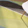 Patillo Hand Tufted Wool Abstract Indoor Rug