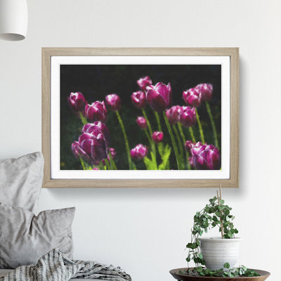 Pink Tulip Flowers - Framed Print