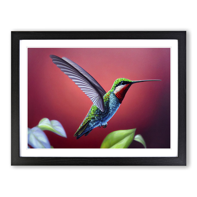 Charming Hummingbird - Single Picture Frame Print, Black, 46cm H x 64cm W x 2cm D