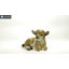Baby Lamb Lying Down-50844492
