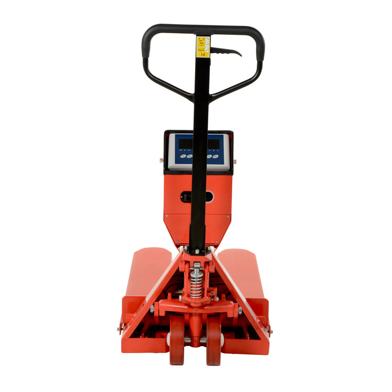 Échelle de camion à palettes basse Pro, H 48 po x l 22,37 po x P 64,5 po