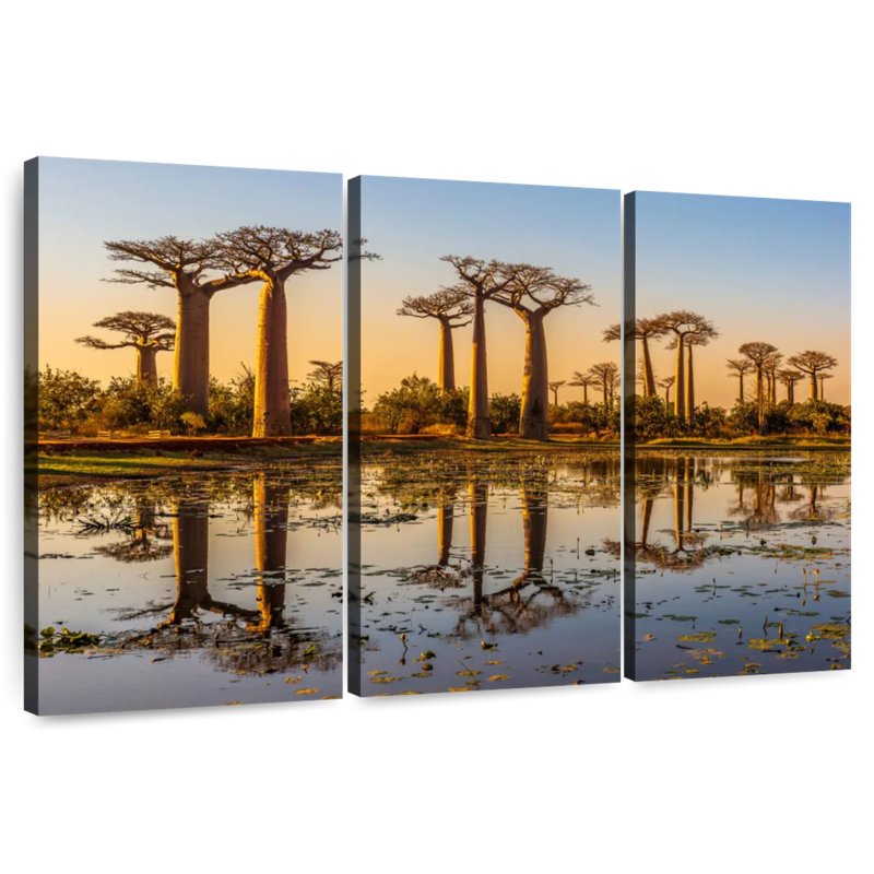 Harnek Madagascar Baobab Trees, 42" H x 65" W