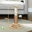 49 cm H Cat Scratchers