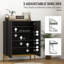 Armoire à chaussures moderne avec portes à fermeture en douceur noir