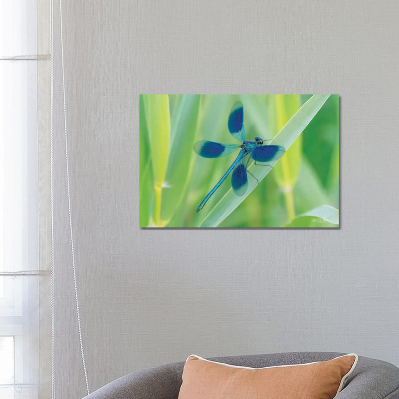 Damselfly In Blue by Martin Podt - Wrapped Canvas Gallery-Wrapped Canvas Giclée, 66.04 cm H x 45.72 cm W x 1.91 cm D