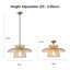 Rollegem 1-Light Unique Dome Pendant-413106507