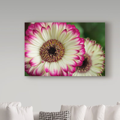 Reproduction d'art graphique sur toile tendue Ailbe «Pink and White»