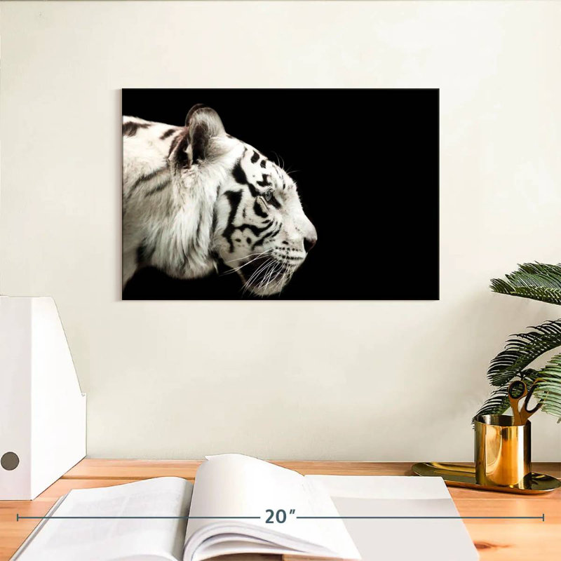Brampt Curious White Tiger, 8" H x 12" W
