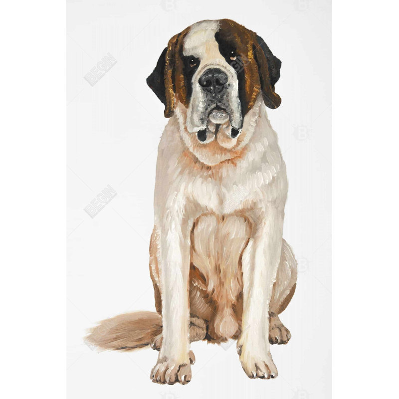 Saint Bernard Canvas Wall Art - Home Decor for Pet Lovers