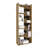 Clover 67" Tall Free Standing 6-Tier Bookcase Storage Cabinet, Home Office, Living Room, Bookshelf Dark Walnut