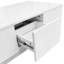 Amiena Pedestal Coffee Table with Storage