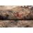 Distressed Look Abstract Area Rug 5x8