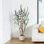 Faux olivier Adcock avec pot ovale blanc-725447102