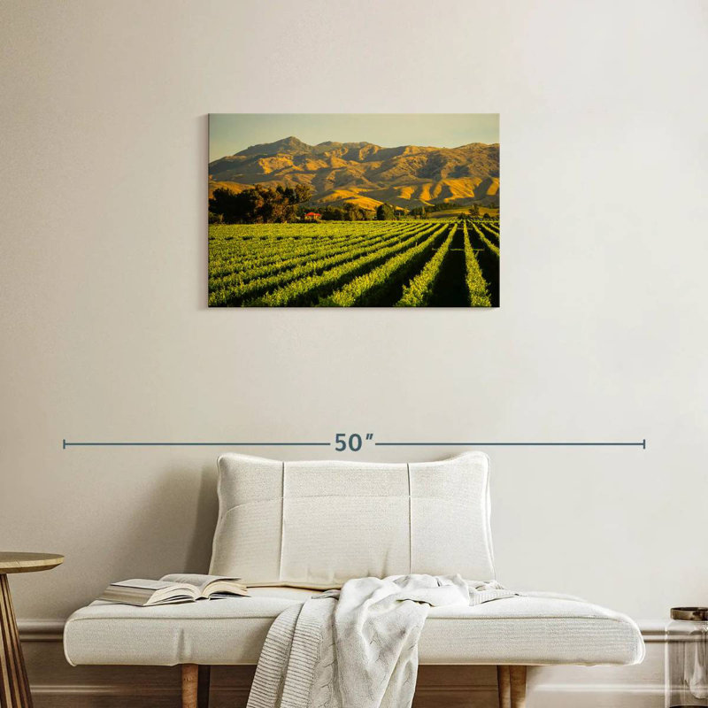 Alvord Blenheim Vineyard, H 20 po x l 30 po