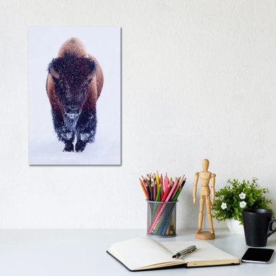Bison In Snow by OLena Art - Wrapped Canvas Print