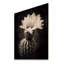 Cactus noir et blanc avec collage minimaliste sur bois-491383321