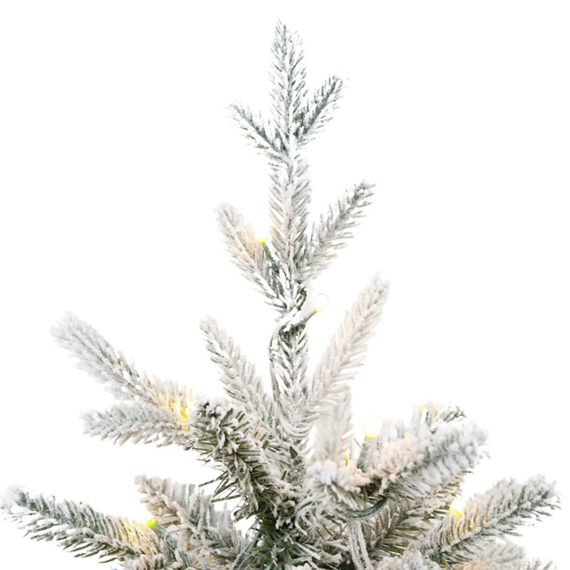 Sapin de Noël illuminé 4 pi avec sapin Fraser