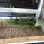 Customer photo 2 of 2