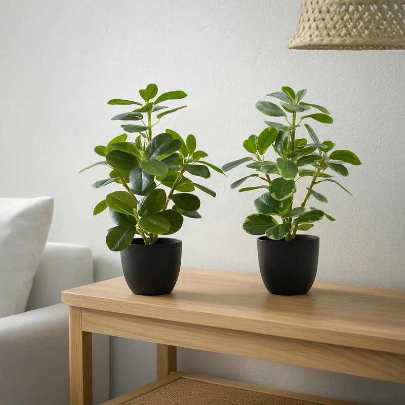 Ensemble de 2 plantes d'intérieur en fausse soie artificielle 14 pouces Ficus, feuilles vertes
