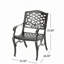 Chaise avec accoudoirs Phoenix (ensemble de 2)