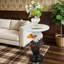 Table d'appoint Eagle Head