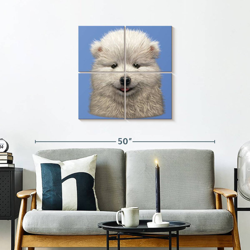 Chiot Brampt Samoyède, H 26 po x l 26 po
