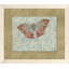 Horizontal Butterfly Collage 3 Print