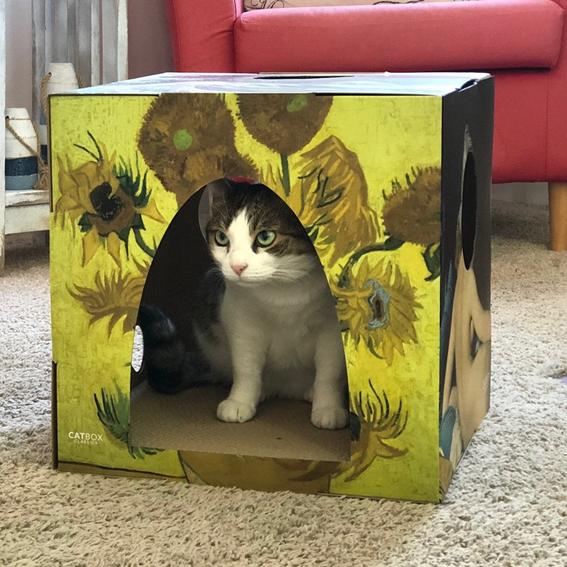 Habitation pour chat 14 po Crysania