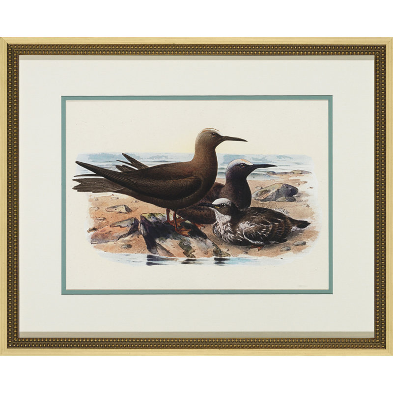 Water Birds Series Print